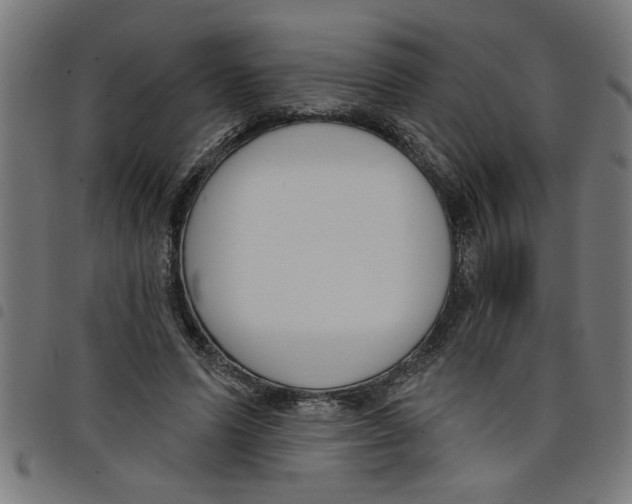 X0000098050591200804251106