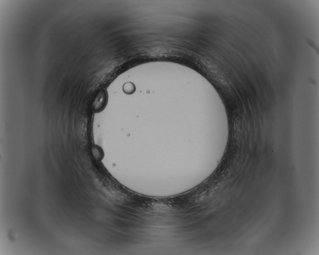 X0000098050592200804251106