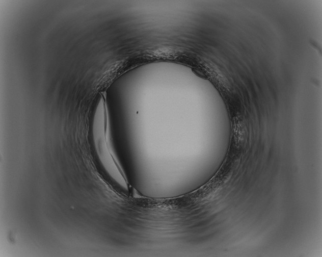 X0000098050593200804251106