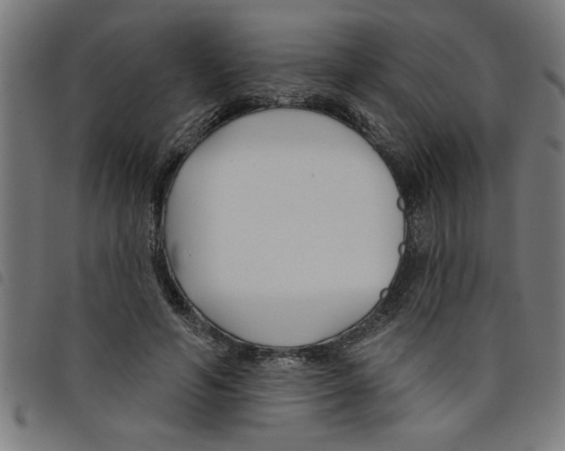 X0000098050594200804251106