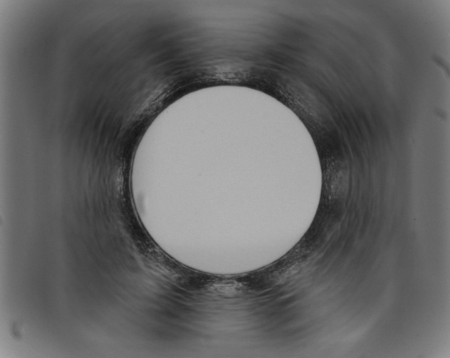 X0000098050595200804251106