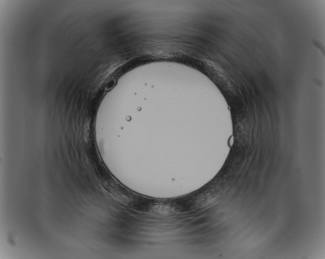 X0000098050596200804251106