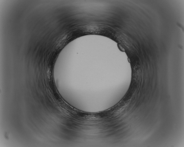 X0000098050597200804251106