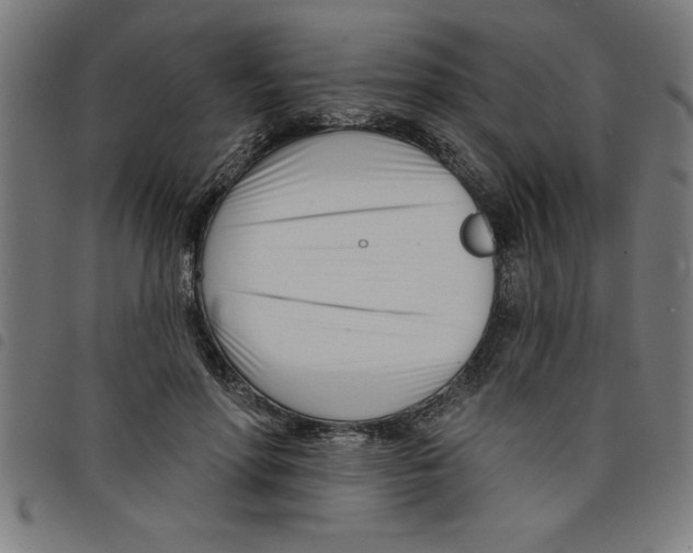 X0000098050598200804251106