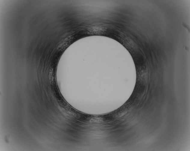 X0000098050599200804251106