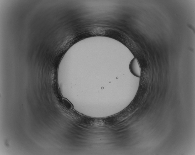 X0000098050600200804251106