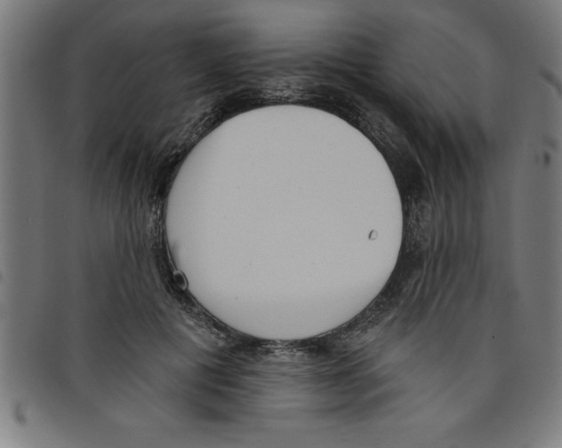 X0000098050601200804251106