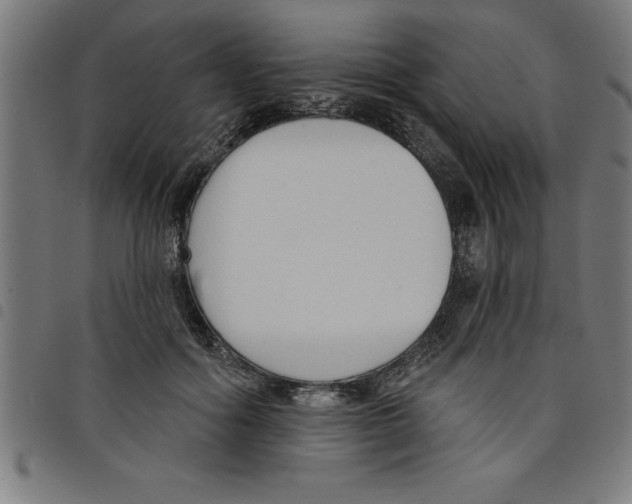 X0000098050602200804251106