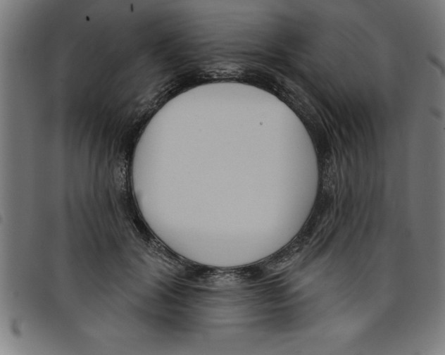 X0000098050604200804251106