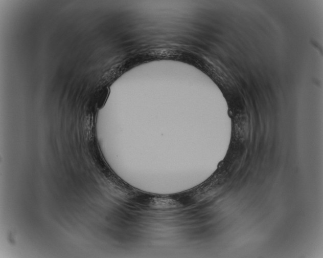 X0000098050605200804251106