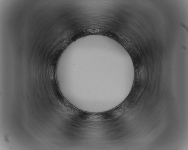 X0000098050606200804251105