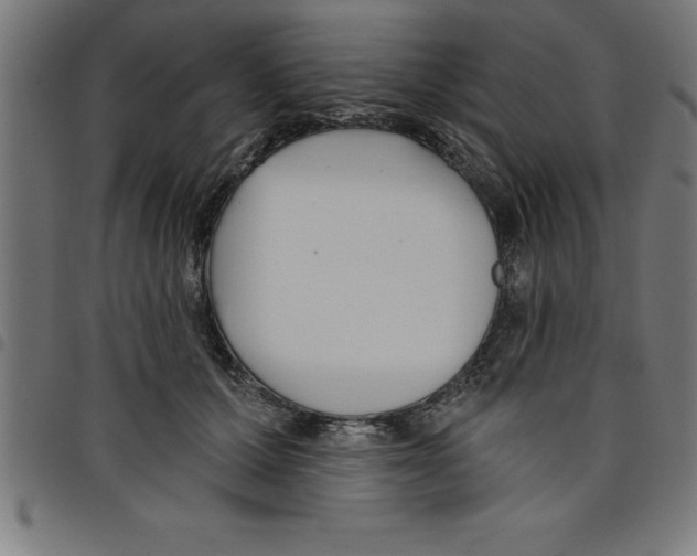 X0000098050607200804251105