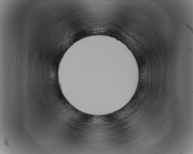 X0000098050608200804251105