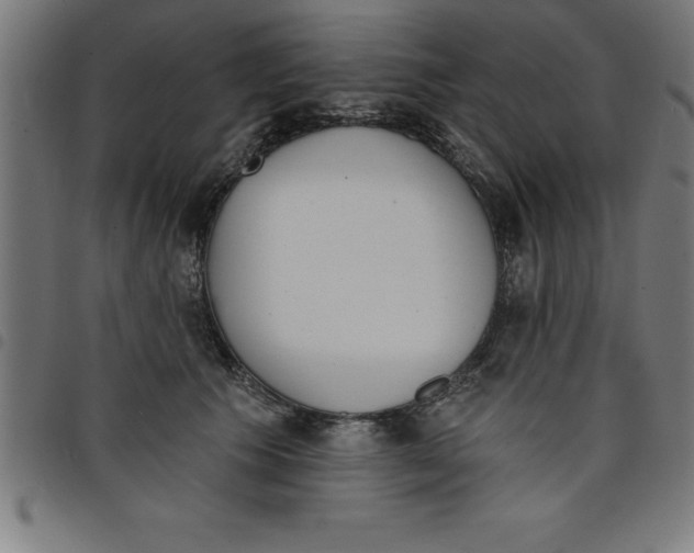 X0000098050609200804251105