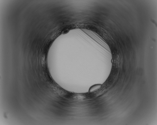 X0000098050610200804251105