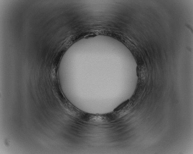 X0000098050611200804251105