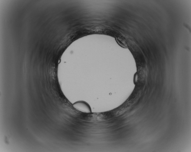 X0000098050612200804251105