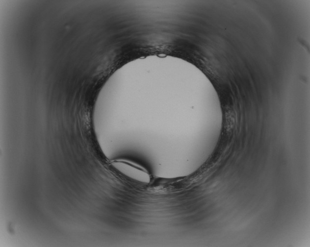 X0000098050613200804251105