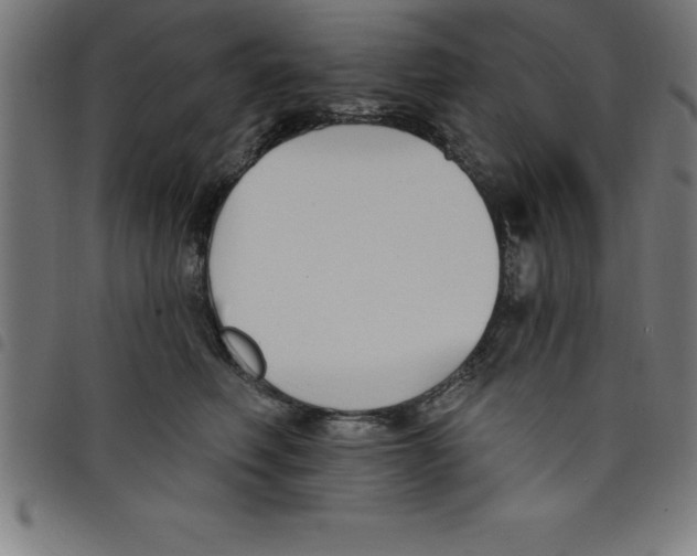 X0000098050614200804251105