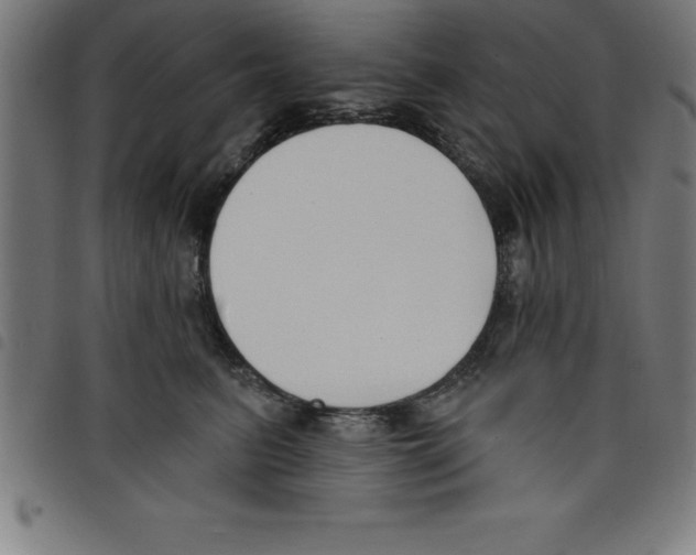 X0000098050615200804251105