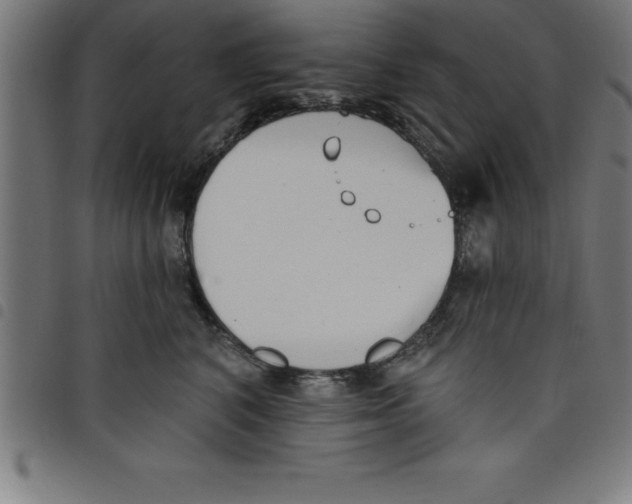 X0000098050616200804251105