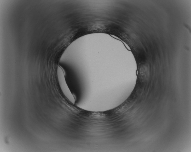 X0000098050617200804251105