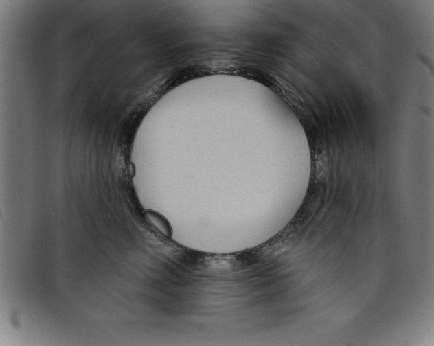 X0000098050618200804251105