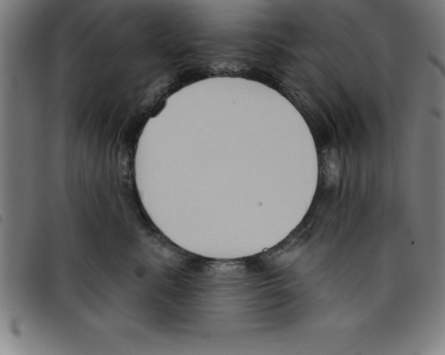 X0000098050619200804251105