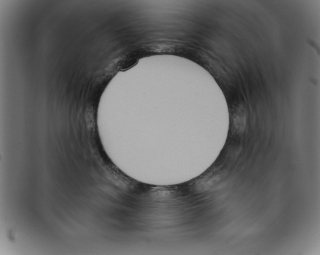 X0000098050620200804251105