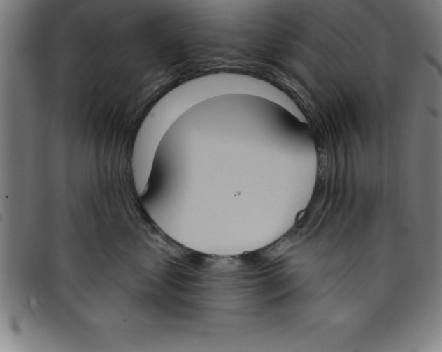 X0000098050621200804251105