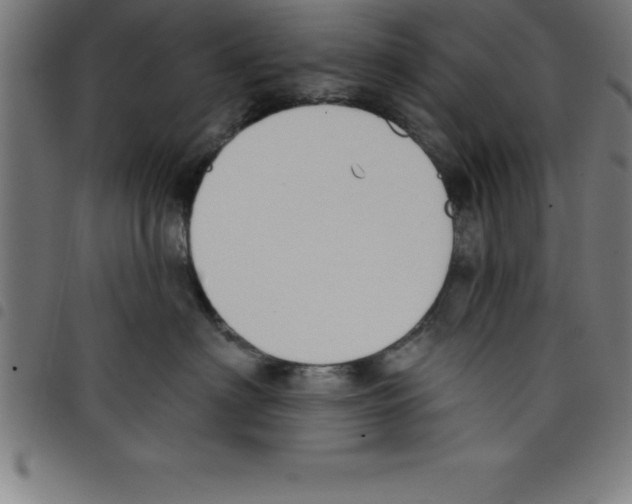 X0000098050622200804251105