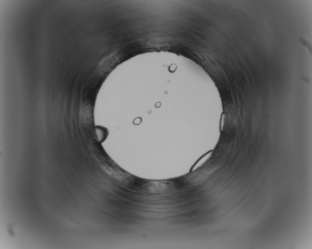 X0000098050623200804251105