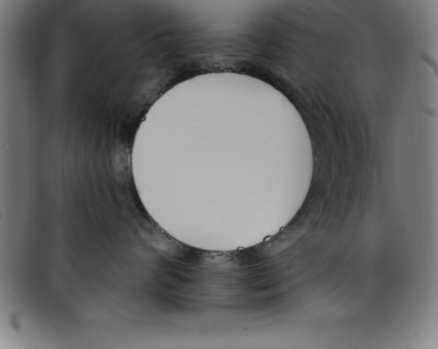 X0000098050624200804251105