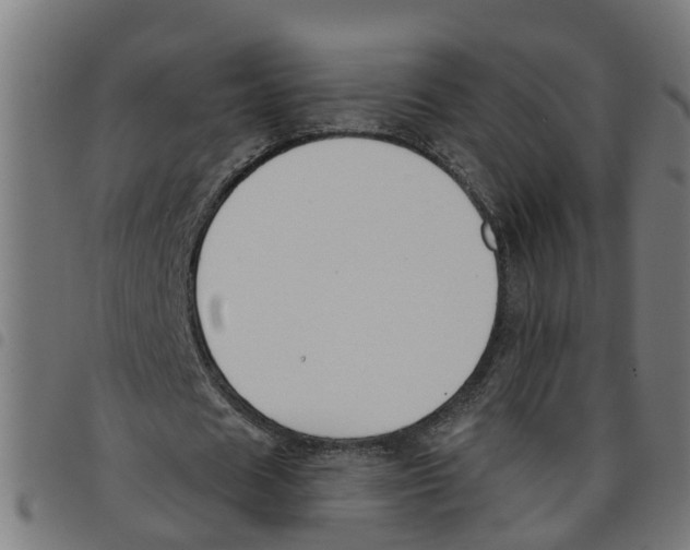 X0000098050625200804251104