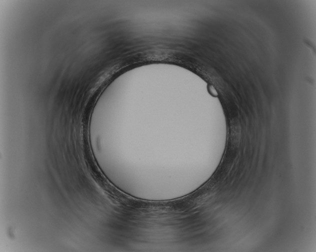 X0000098050626200804251104