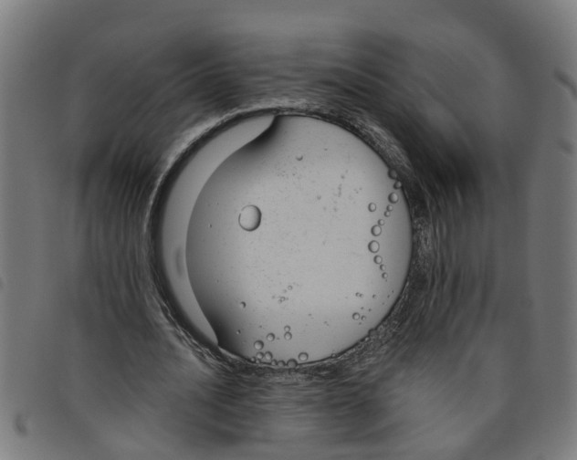 X0000098050628200804251104