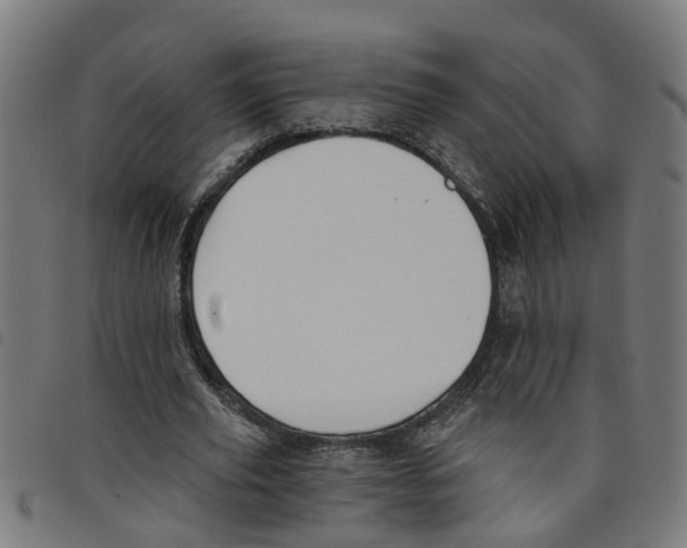 X0000098050629200804251104