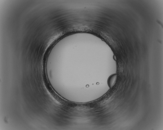 X0000098050630200804251104