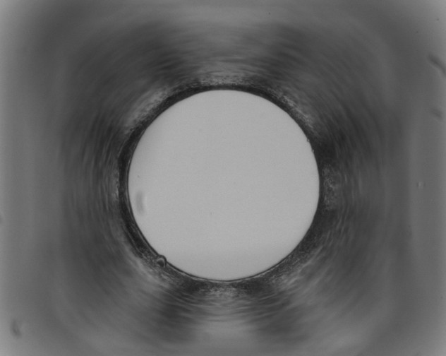 X0000098050631200804251104