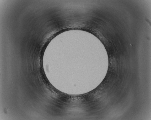 X0000098050632200804251104