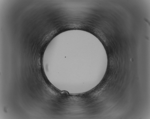 X0000098050633200804251104