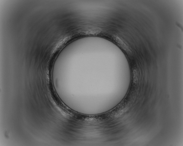 X0000098050634200804251104