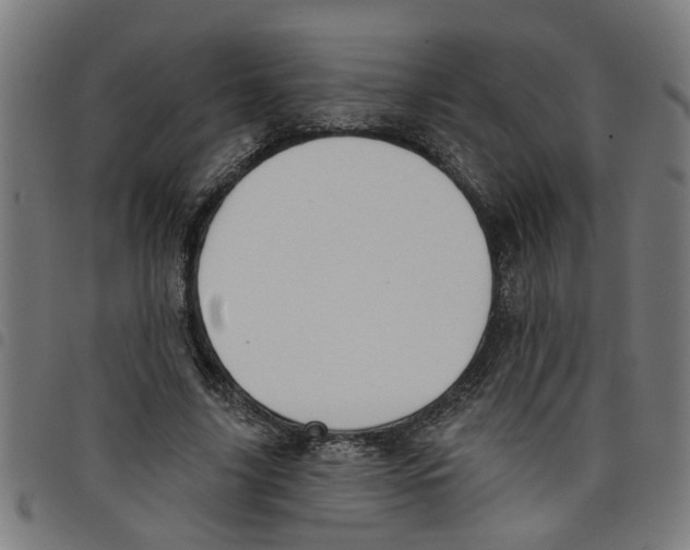 X0000098050635200804251104