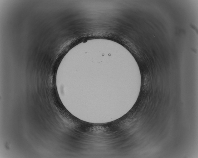 X0000098050636200804251104