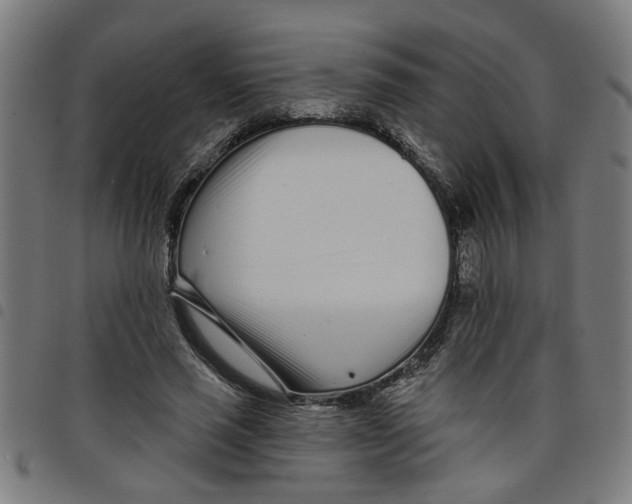 X0000098050637200804251104