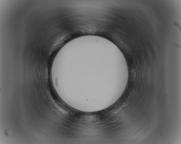 X0000098050638200804251105