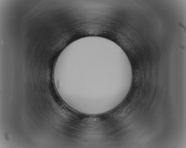 X0000098050639200804251105