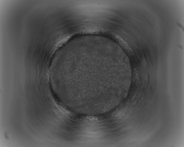 X0000098050640200804251105