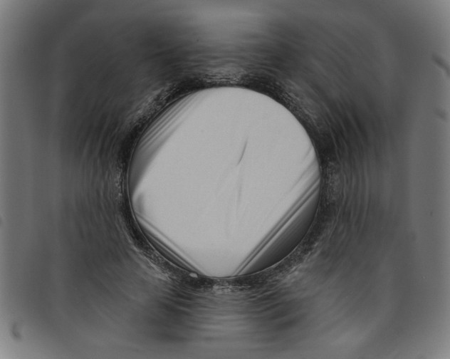 X0000098050641200804251105