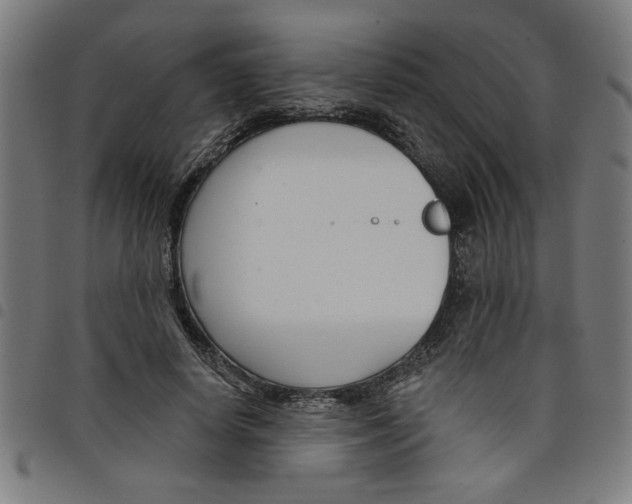 X0000098050642200804251105